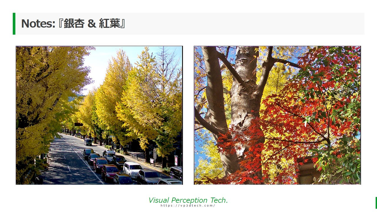 2019 Dec. 知識月刊 White Balance 第 8 頁